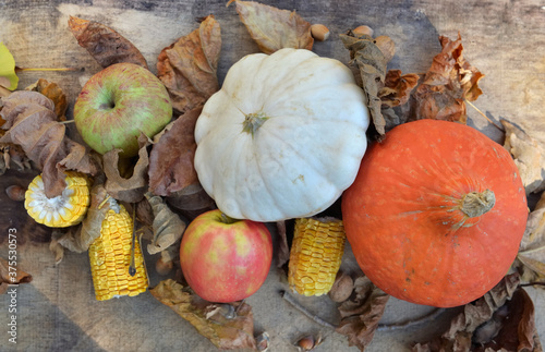 various and colorful autumnal vegetables and fruits in leaves  on wooden back...