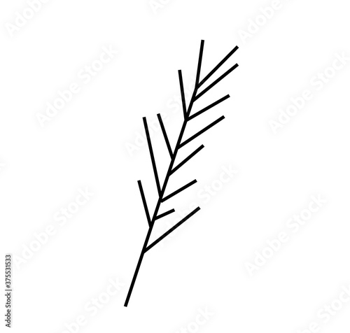 Fototapeta Naklejka Na Ścianę i Meble -  Vector rosemary branch with a black line.Simple food and cooking illustration in doodle style on a white isolated background hand drawn.Design for social networks,web,advertising,menus,recipes.