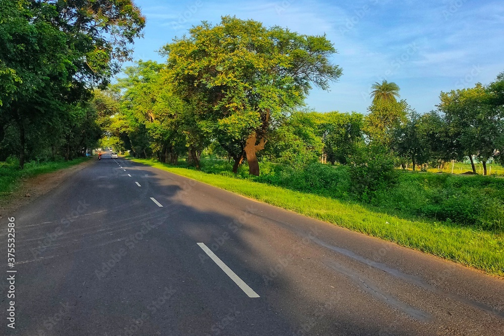 road in the forest