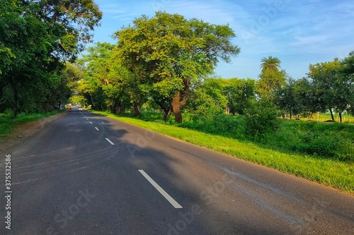 road in the forest © Siddhant