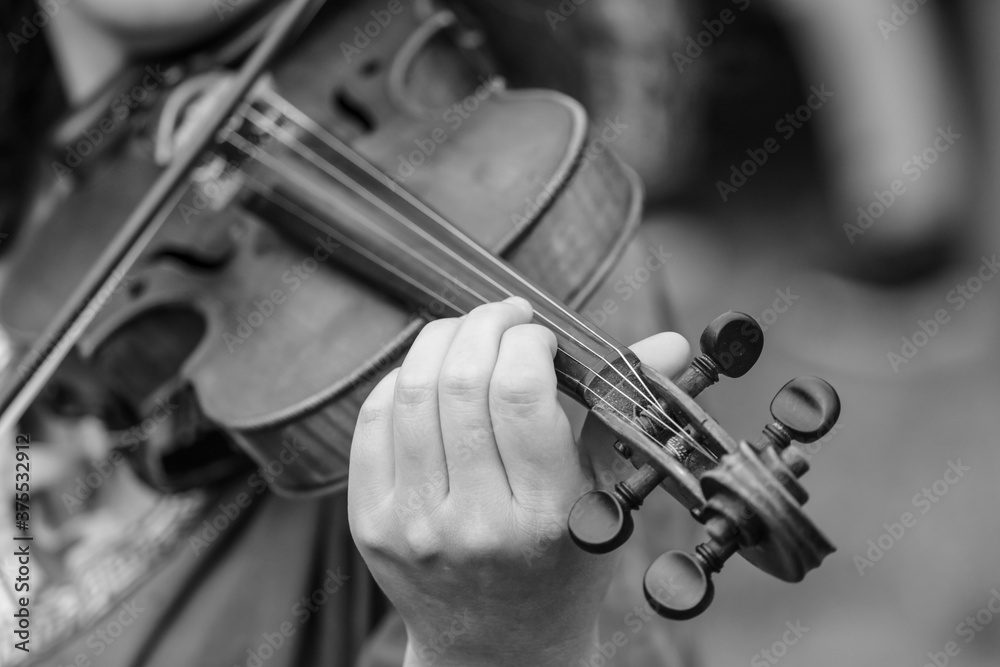 Fototapeta premium Girl musician plays the violin