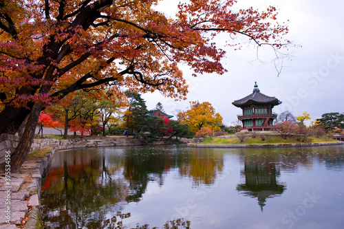 The scenery of Autumn,palace garden,Changdeokgung palace,Unesco World heritage,Seoul Korea. 
