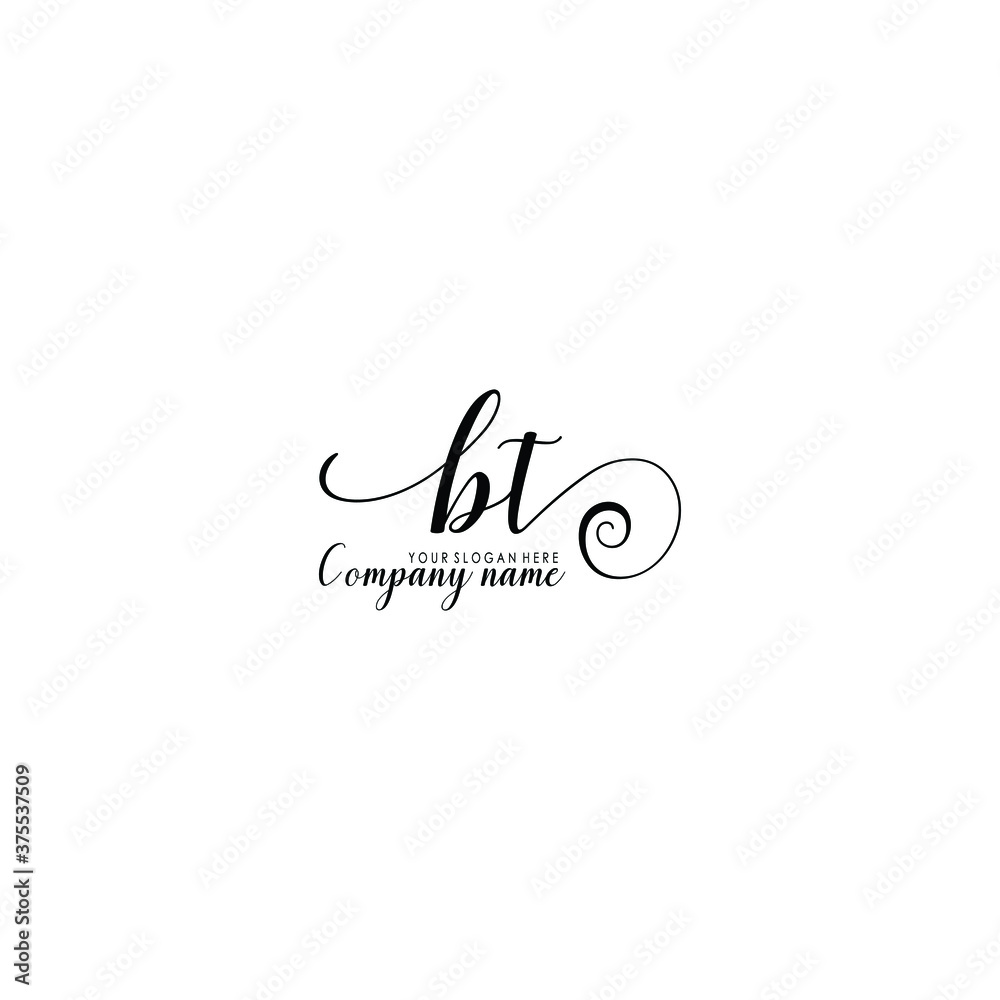 BT Initial handwriting logo template vector
