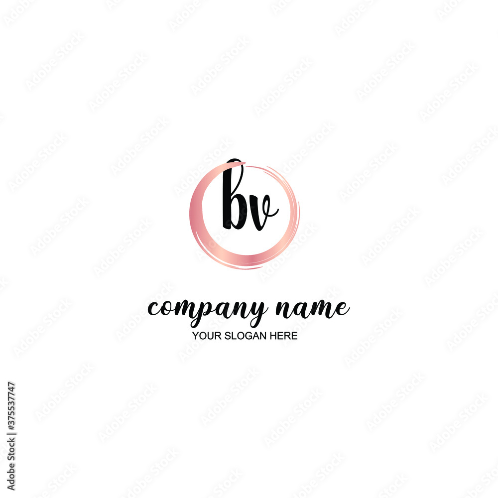BV Initial handwriting logo template vector
