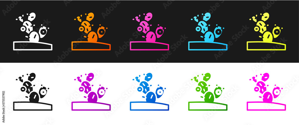 Set Cactus icon isolated on black and white background. Vector. Set Cactus icon isolated on black and white background. Vector.