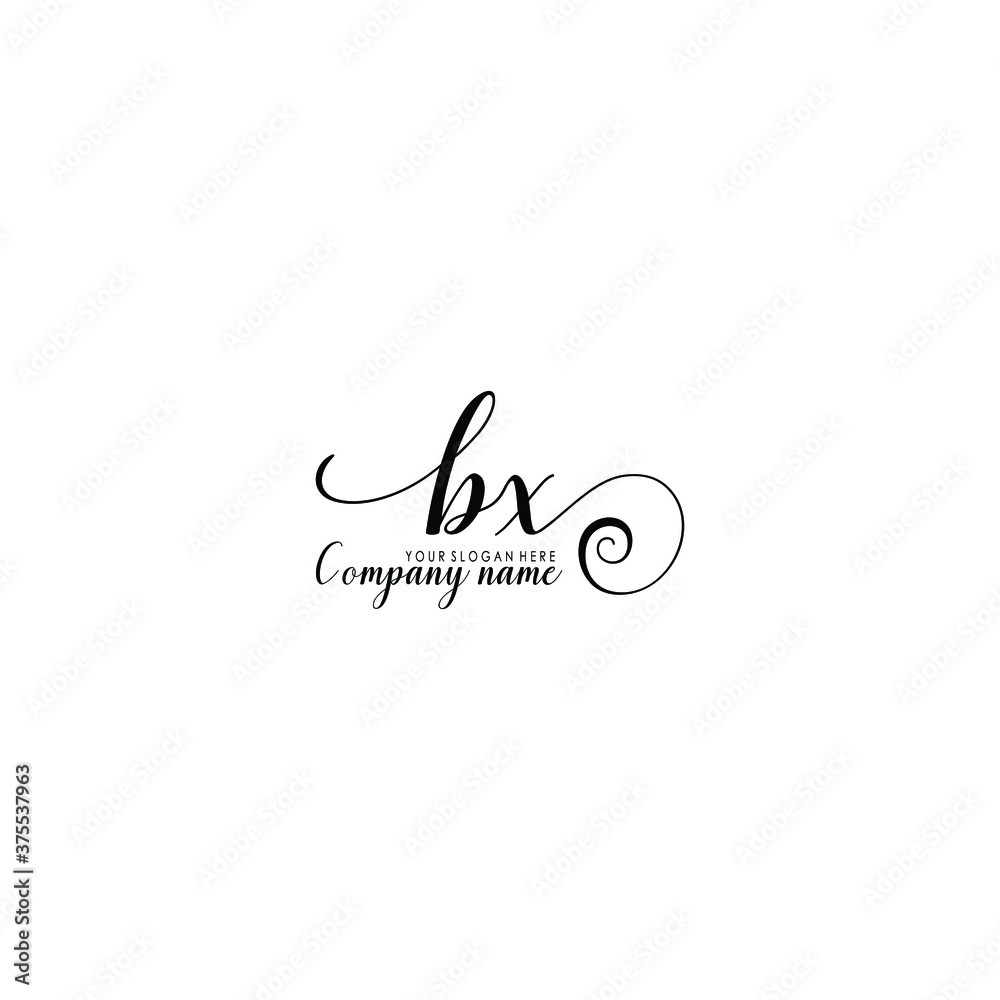 BX Initial handwriting logo template vector
BX Initial handwriting logo template vector
