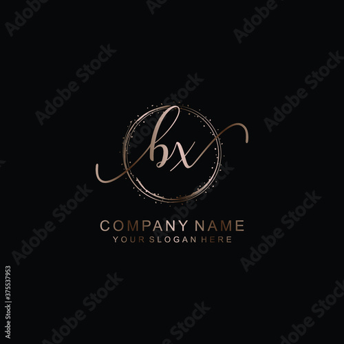 BX Initial handwriting logo template vector 