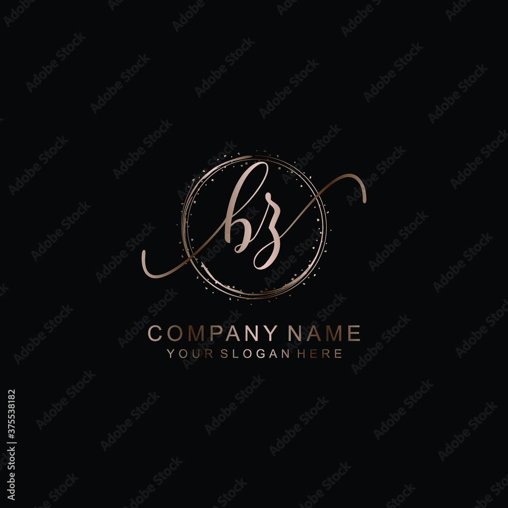 BZ Initial handwriting logo template vector
BZ Initial handwriting logo template vector