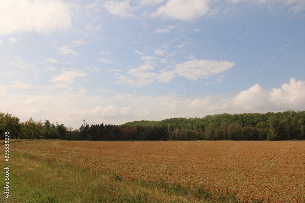 View of a field in Königsdorfer Forst

