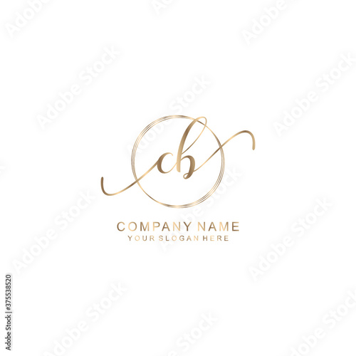 CB Initial handwriting logo template vector
