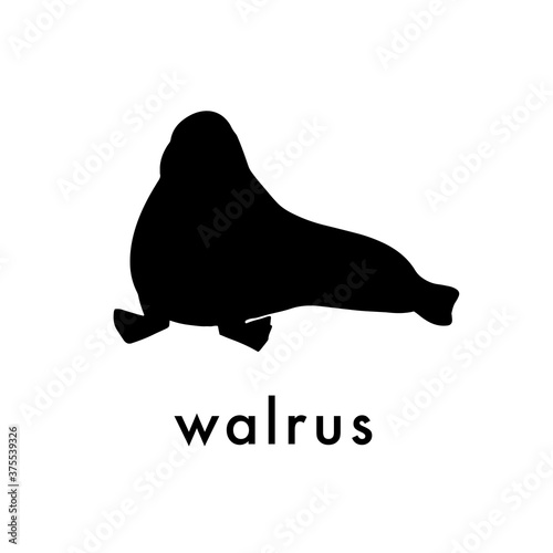 Walrus black silhouette. Arctic animal vector logo.