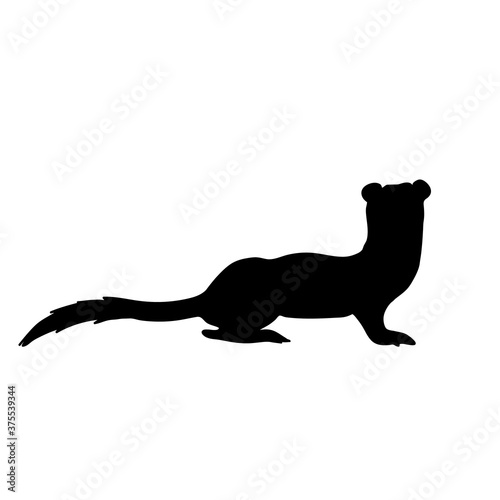 Marten  vector silhouette. Forest weasel black icon.