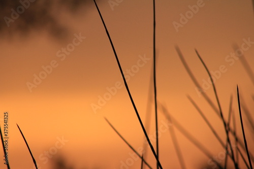 setting sun in orange