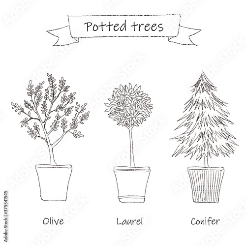 鉢植えの木　線画
Potted tree 　Line drawing