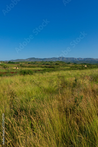 Landscape of the august way as it passes through Castellon © vicenfoto