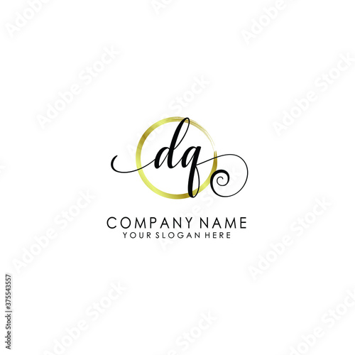 DQ Initial handwriting logo template vector 