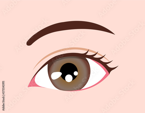 Human eyeball / eye color illustration (amber)