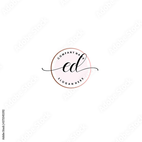 ED Initial handwriting logo template vector