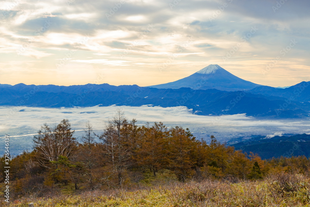 富士山と朝霧に覆われた甲府盆地　山梨県韮崎市甘利山にて