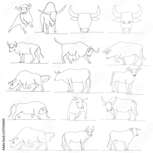 vector, isolated, sketch, one line drawing bull, set