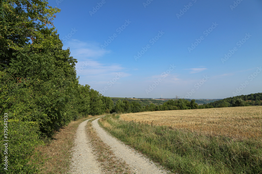 Summer landscape with field road and blue sky