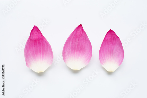 Pink lotus flower petals on white background.