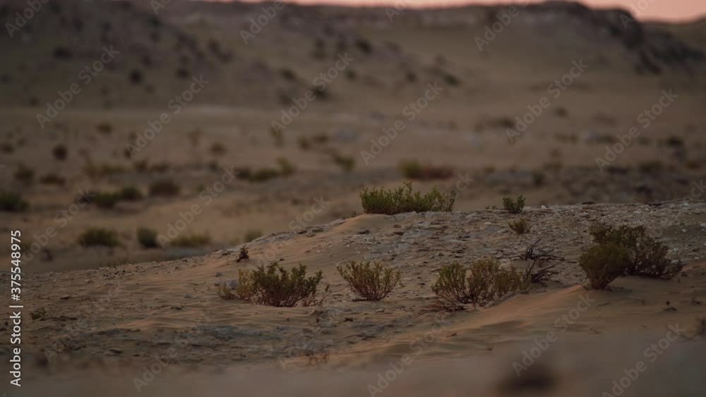 Camera tracking from left to right over the sand dune and another dune in the background.