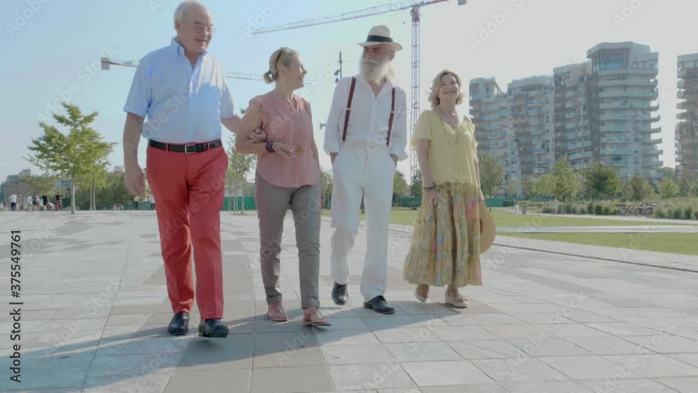 Group of seniors making party and having fun. Meeting old friends outdoor. Lifestyle moments together in the city and at the park Group of seniors making party and having fun. Meeting old friends outdoor. Lifestyle moments together in the city and at the park