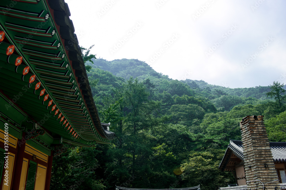 The beautiful landscape of temple and mountain 