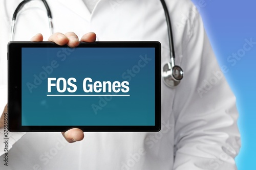 FOS Genes. Doctor holds a tablet computer in his hand. Close up. Text is on the display. Blue Background photo