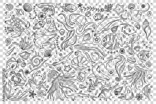 Marine life doodle set. Collection of hand drawn templates sketches patterns of different sea and ocean fish sharks turtles octopus oyster. Animals in wildlife enviroment nature illustration.