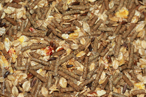 Alimentation pour vieux chevaux