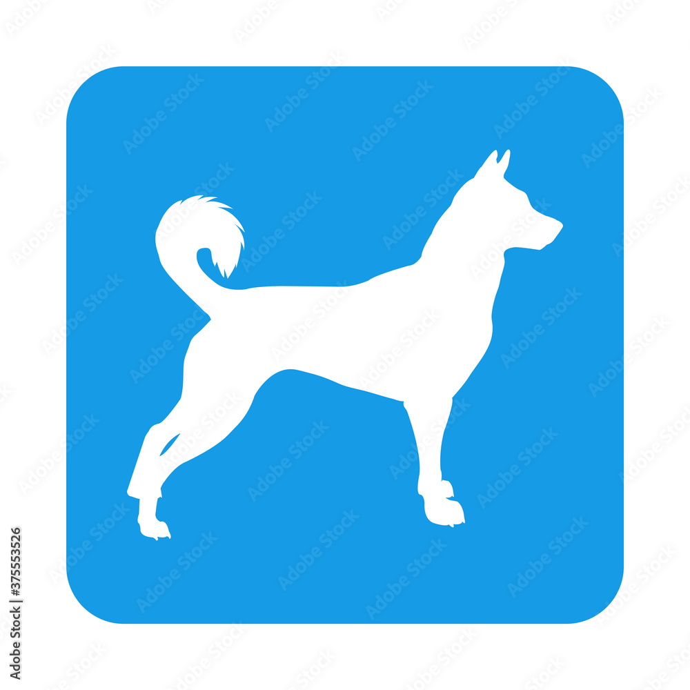 Razas de perros. Silueta de perro nórdico en cuadrado color azul  ilustración de Stock | Adobe Stock