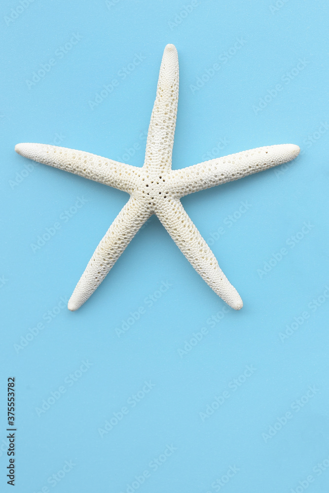 close up of starfish on blue background close up of starfish on blue background