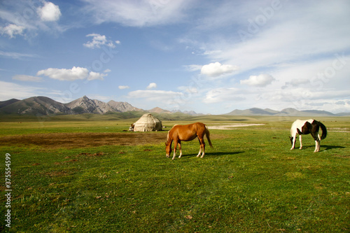 Nomadic life in grassland of Kyrgyzstan
