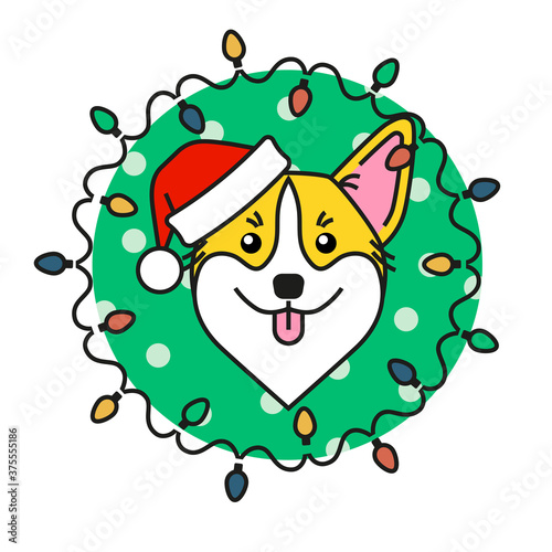 Cute corgi dog in santa claus hat with christmas lights