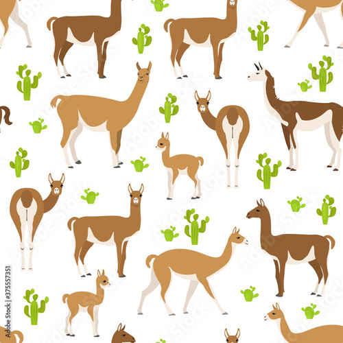 Camelids family collection. Guanaco graphic design