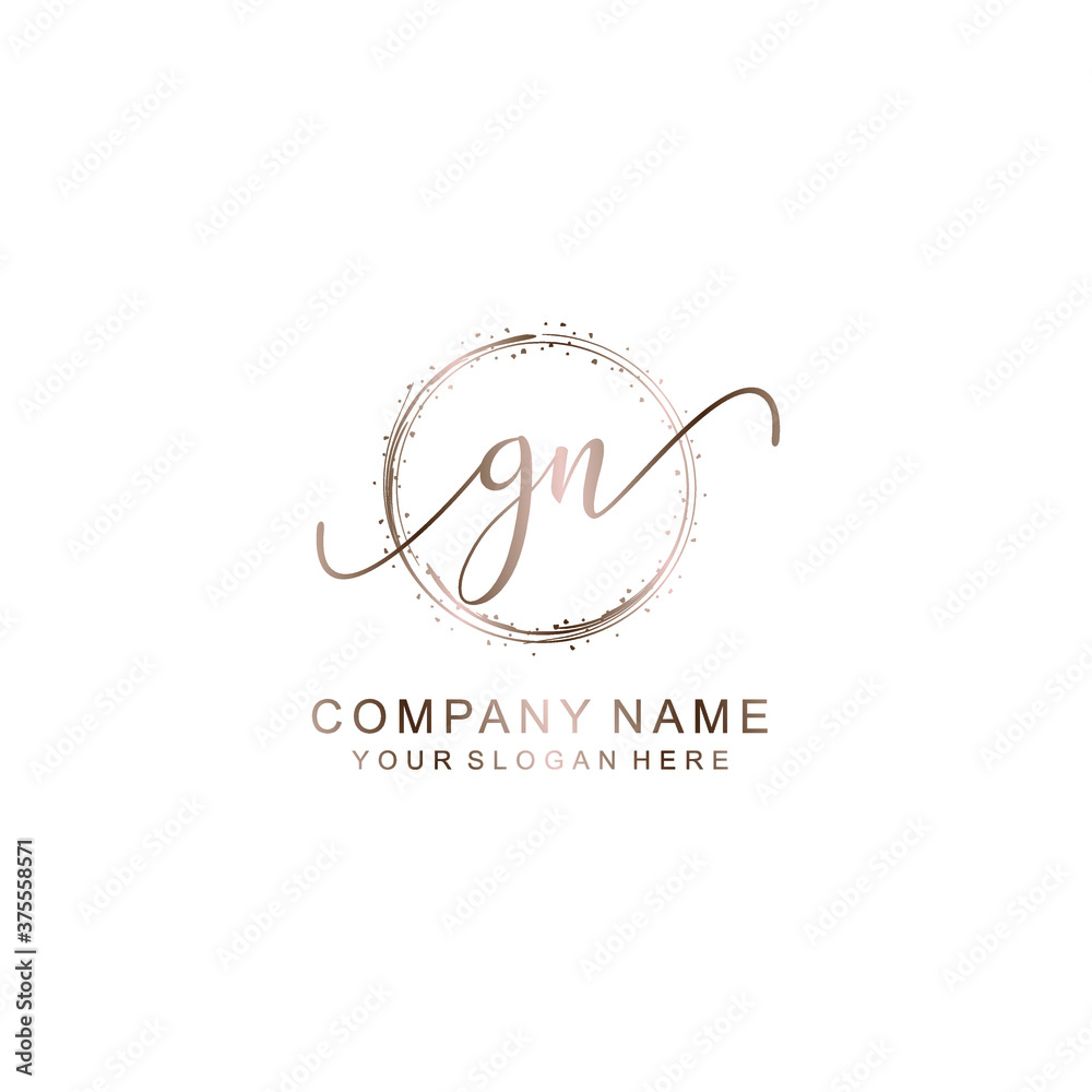 GN Initial handwriting logo template vector