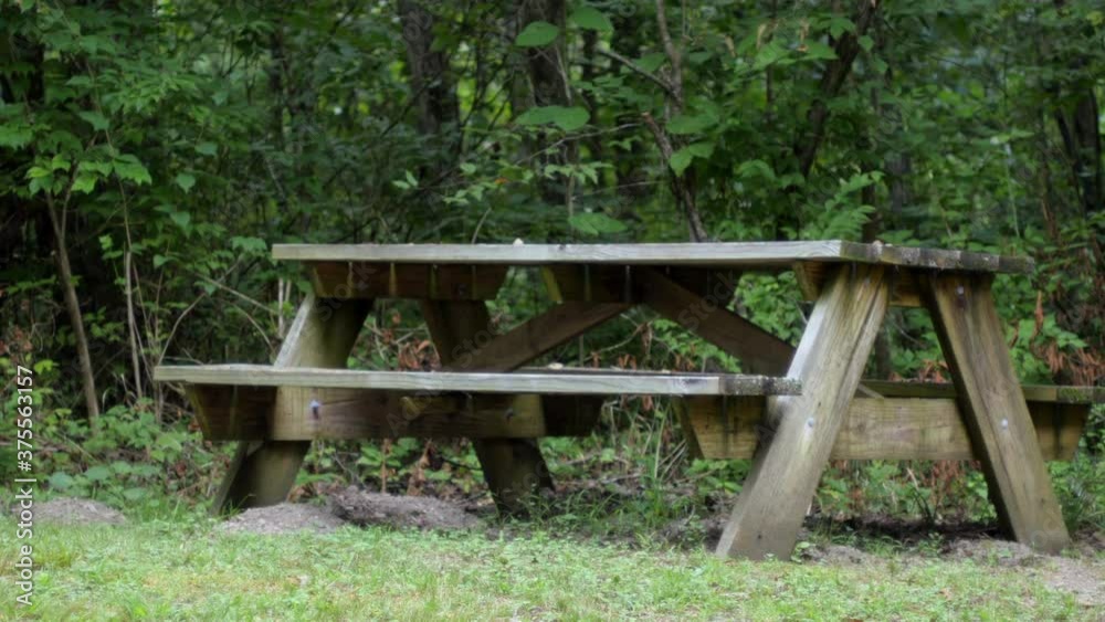 Picnic table. Old wooden rustic picnic table with leafy green woods, forest in background. Day, Spring, Summer, empty table. Slow zoom out, 4K. Picnic table. Old wooden rustic picnic table with leafy green woods, forest in background. Day, Spring, Summer, empty table. Slow zoom out, 4K.