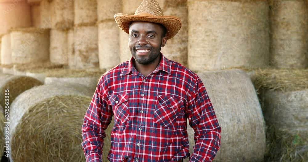 Young handsome African American man farmer in hat standing and smiling ...