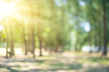 Blur nature green park with sun light abstract background.