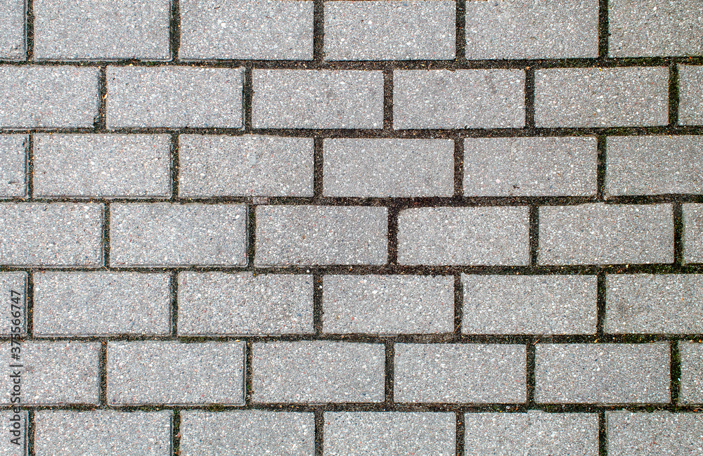 Obraz premium road paved with sidewalk tiles. texture of light gray bricks.