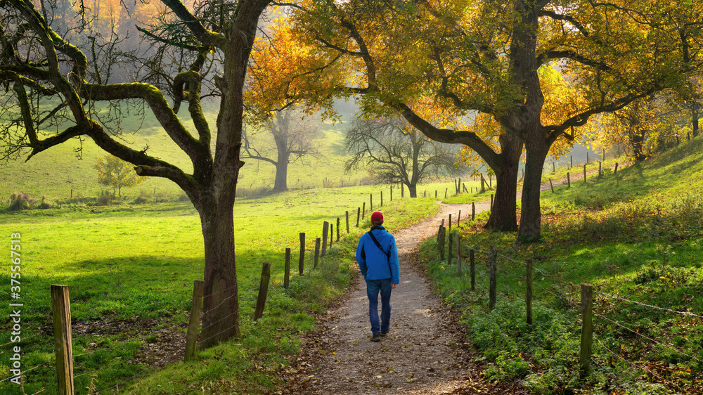 Man enjoying a relaxing walk through beautiful countryside