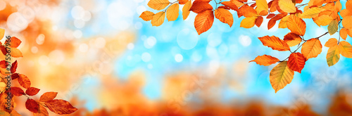 Autumn background in gold and blue