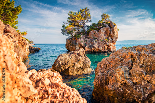 Fototapeta Naklejka Na Ścianę i Meble -  Panoramic morning view of famous Brela stone. Splendid summer seascape of Adriatic sea, Dalmatian coast, Croatia, Europe. Beautiful world of Mediterranean countries. Beauty of nature concept