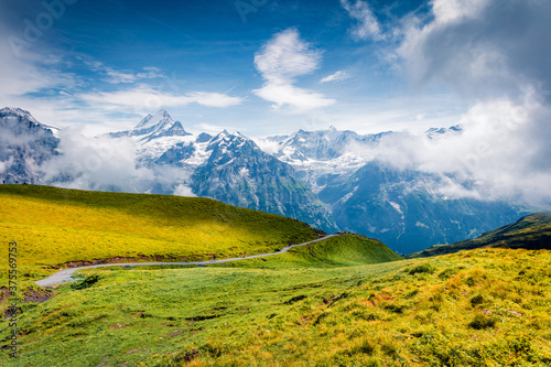 Foggy summer view of Schreckhorn peak. Astonishing morning scene of Swiss Bernese Alps, Switzerland, Europe. Beauty of nature concept background.. © Andrew Mayovskyy
