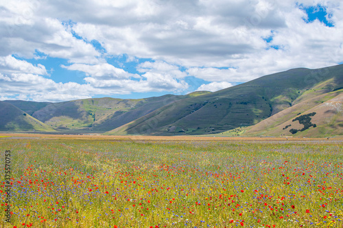 Umbria Piana di Castelluccio