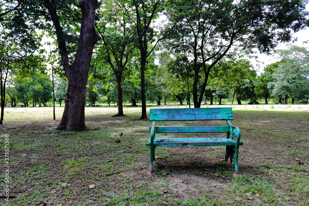 Alone Green Park bench in the shady garden Alone Green Park bench in the shady garden