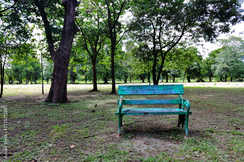 Alone Green Park bench in the shady garden