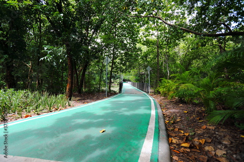 The shade of the Green bike lane